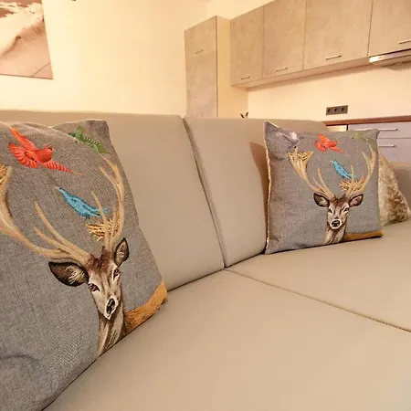 Post Incl Zak Summer Card By In One ツェル アム ゼー